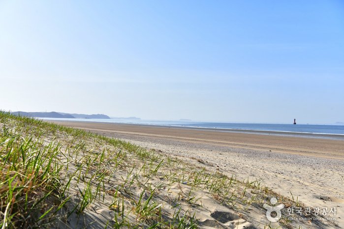 [Chungcheongnam-do] Sambong Beach (삼봉해수욕장)