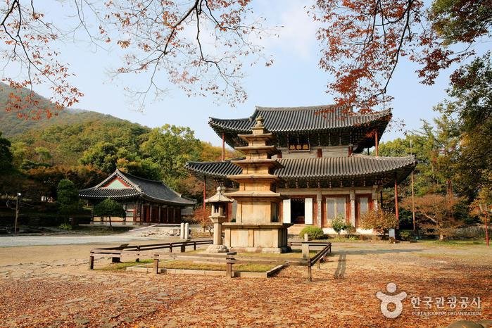 [Chungcheongnam-do] Buyeo Muryangsa Temple (무량사(부여))