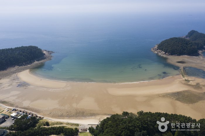 [Chungcheongnam-do] Cheollipo Beach (천리포해수욕장)
