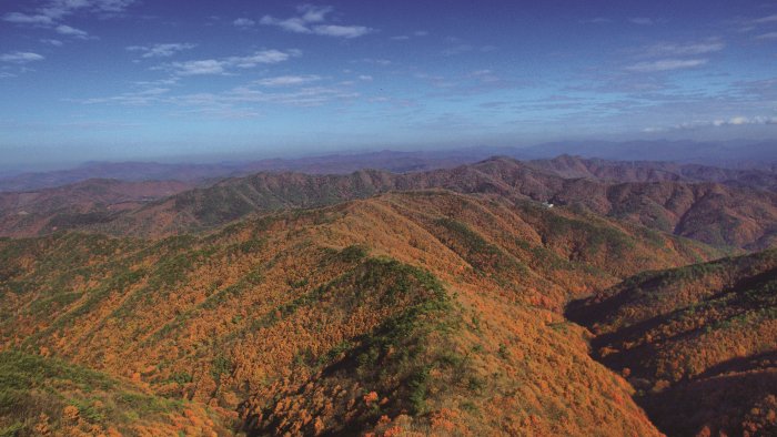 [Chungcheongnam-do] Chilgapsan Provincial Park (칠갑산도립공원)
