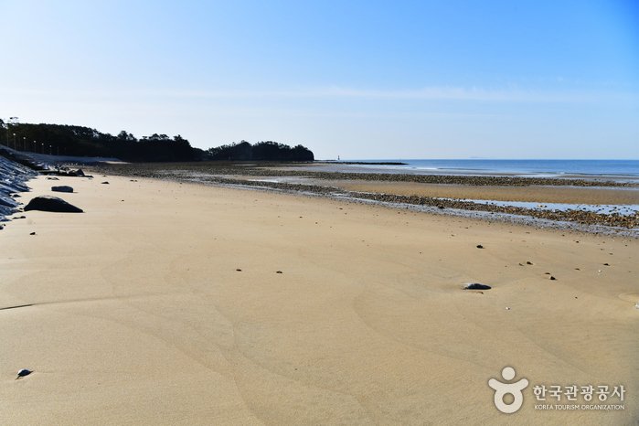 [Chungcheongnam-do] Baeksajang Beach (백사장해수욕장)
