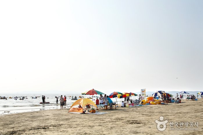 [Chungcheongnam-do] Cheongpodae Beach (청포대해수욕장)