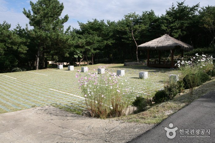 [Chungcheongnam-do] Taehaksan Recreational Forest (태학산자연휴양림)