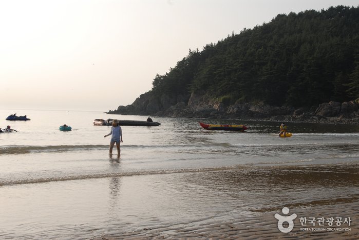 [Chungcheongnam-do] Baengnipo Beach (백리포해수욕장)