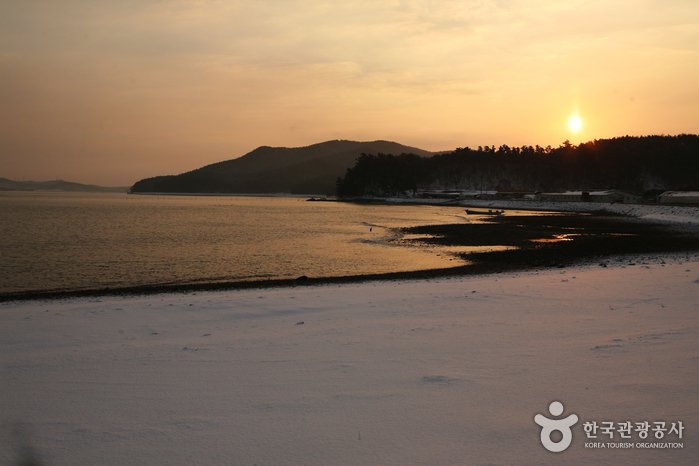 [Chungcheongnam-do] Cheonsuman Bay – Migratory Bird Sanctuary (천수만(철새도래지))