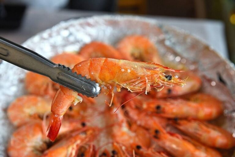 [Chungcheongnam-do] Hongseong Namdang Port Jumbo Shrimp Festival (홍성남당항 대하축제)