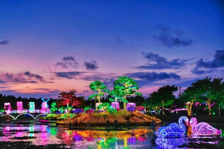 [Chungcheongnam-do] Taean Lighting Festival (태안 빛축제)