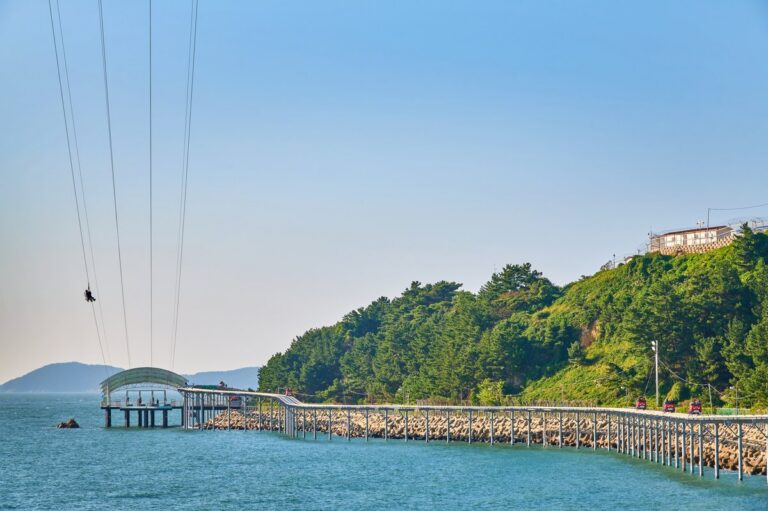[Chungcheongnam-do] Ziptrek Korea (짚트랙 코리아)