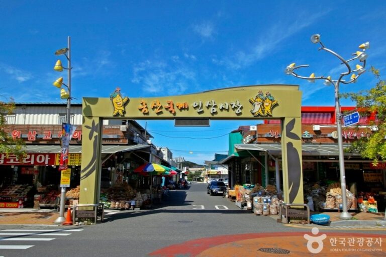 [Chungcheongnam-do] Geumsan Ginseng Market (금산인삼약령시장)