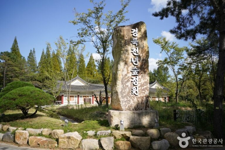 [Gyeongsangbuk-do] Gyeongbuk Millennium Forest Garden (경북천년숲정원)