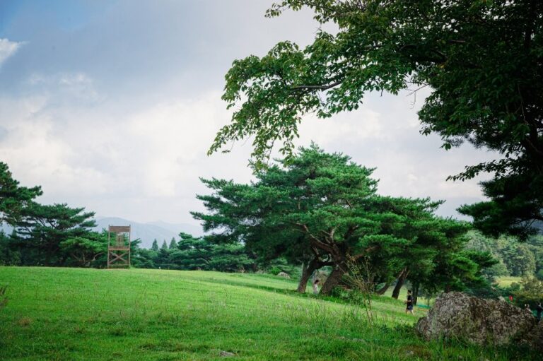 [Gyeongsangbuk-do] Hwarang Hill (화랑의언덕)