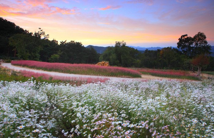 [Gyeongsangbuk-do] Gasan Supia (가산수피아)