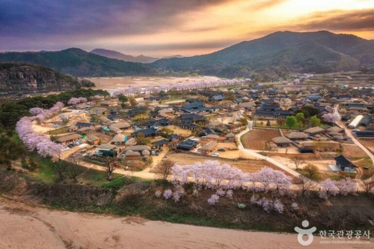 [Gyeongsangbuk-do] Andong Hahoe Village [UNESCO World Heritage] (안동 하회마을 [유네스코 세계유산])
