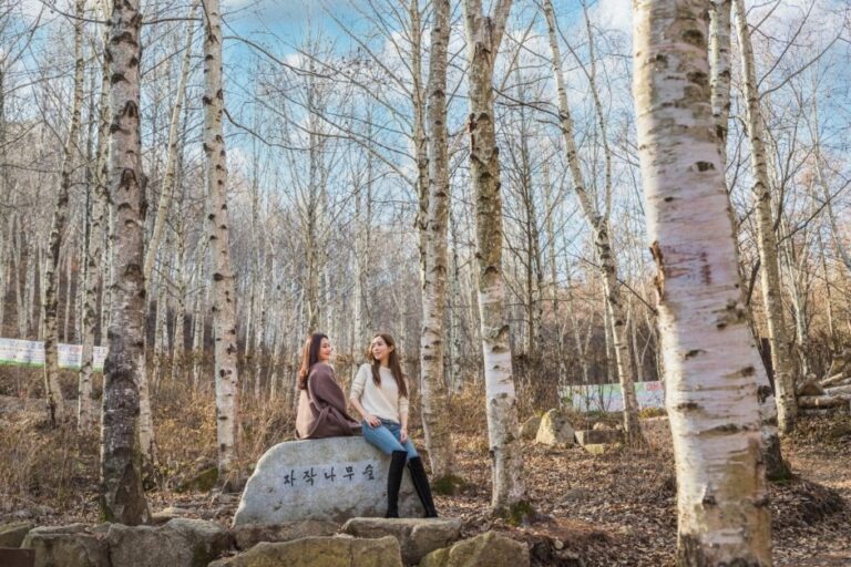 [Gyeongsangbuk-do] National Center for Forest Therapy, Gimcheon (국립김천치유의숲)