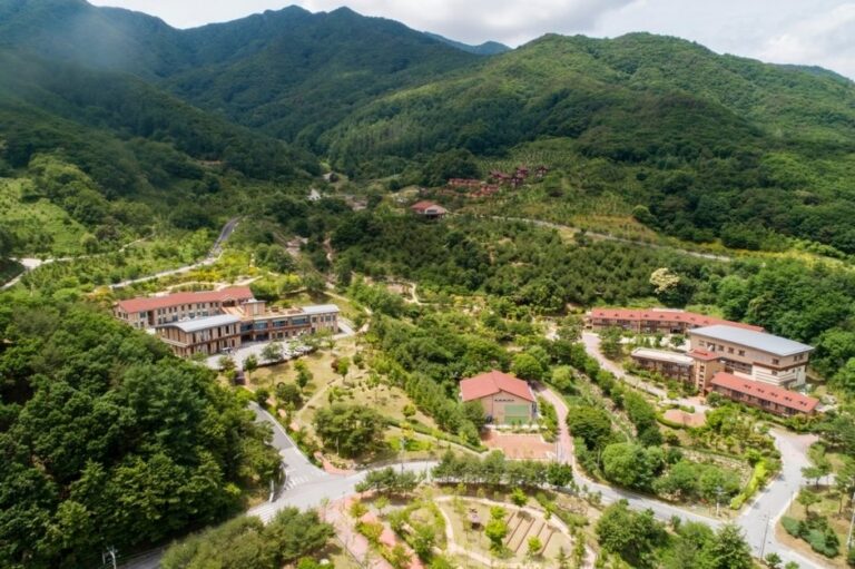 [Gyeongsangbuk-do] National Center for Forest Therapy (국립산림치유원)