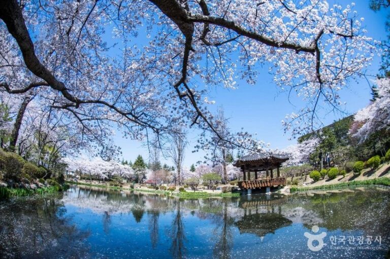 [Gyeongsangbuk-do] Bomun Tourist Complex (경주 보문관광단지)