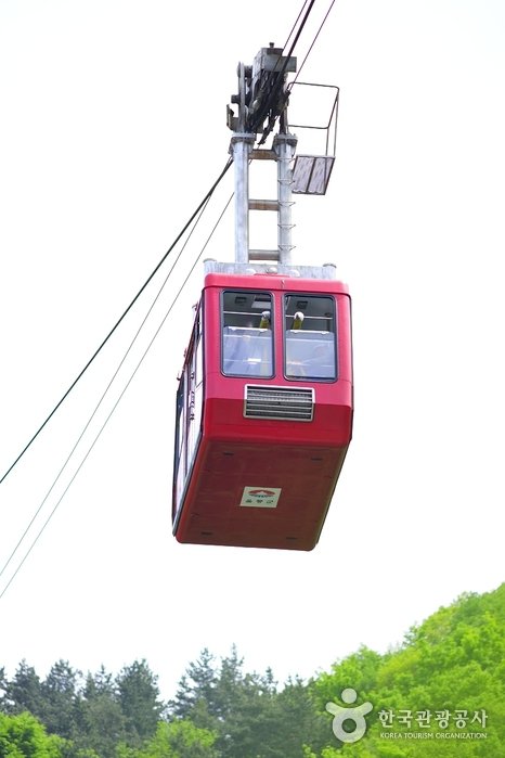 [Gyeongsangbuk-do] Dokdo Observatory Cable Car (독도전망대 케이블카)