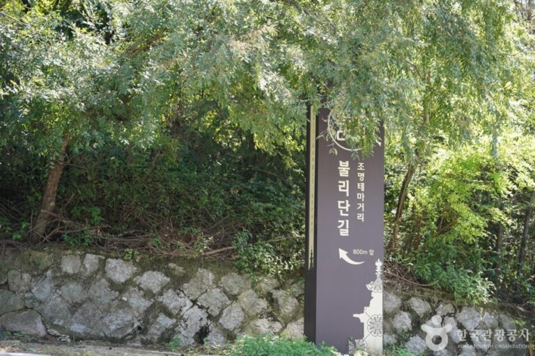 [Gyeongsangbuk-do] Bullidan Street (불리단길)