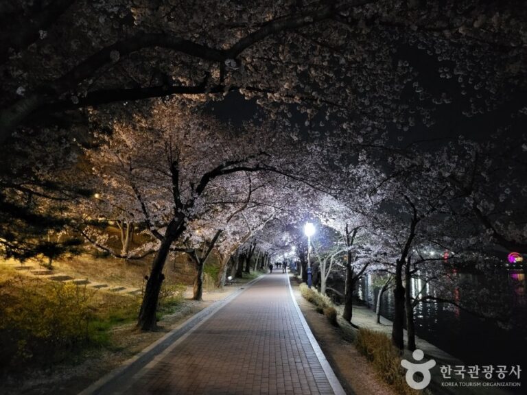 [Gyeongsangbuk-do] Bomunho Lake (보문호)