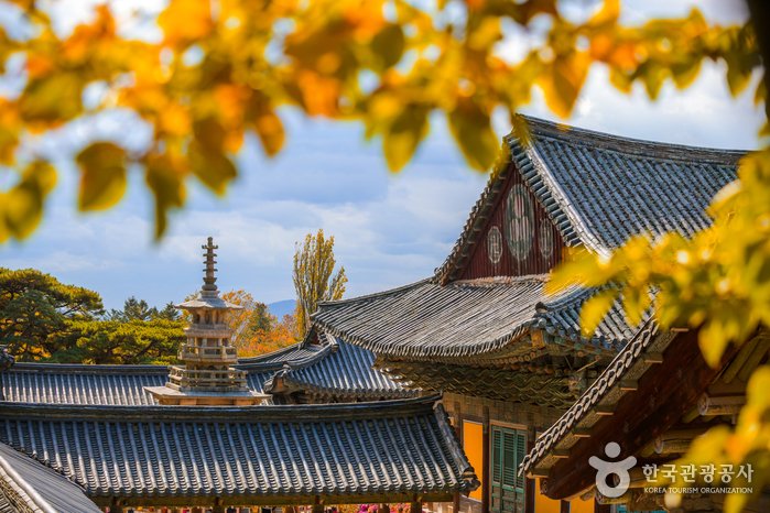 [Gyeongsangbuk-do] Gyeongju Bulguksa Temple [UNESCO World Heritage] (경주 불국사 [유네스코 세계유산])