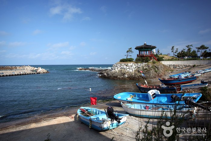 [Gyeongsangbuk-do] Daege Wonjo Village (Chayu Fishing Village) (대게원조 차유어촌체험마을)
