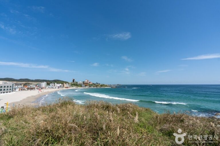 [Gyeongsangbuk-do] Guryongpo Beach (구룡포해수욕장)