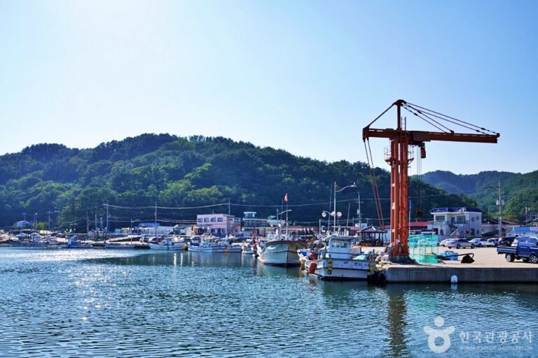 [Gyeongsangbuk-do] Gyeongjeong Village (Chayu Fishing Village) (경정마을(차유어촌체험마을))