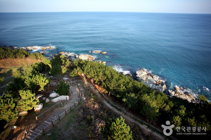 [Gyeongsangbuk-do] Yeongdeok Sunrise Park (영덕 해맞이공원)