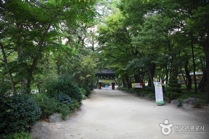 [Gyeongsangbuk-do] Naeyeonsan Bogyeongsa Municipal Park (내연산보경사시립공원)