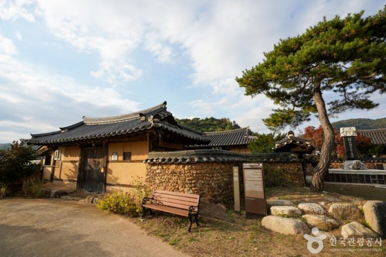 [Gyeongsangbuk-do] Yecheon Geumdangsil Village (예천 금당실마을)