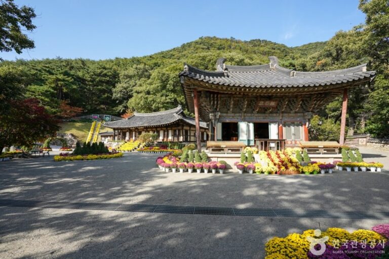 [Gyeongsangbuk-do] Dorisa Temple (Gumi) (도리사(구미))