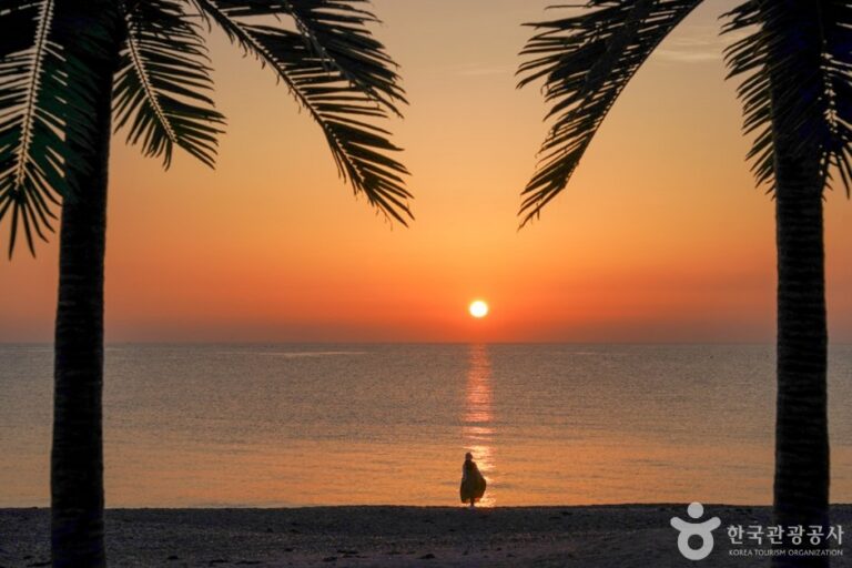 [Gyeongsangbuk-do] Oryu Goarahaebyeon Beach (오류고아라해변)
