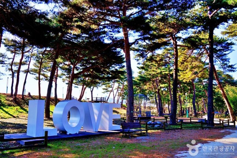 [Gyeongsangbuk-do] Uljin Wangpicheon Park (울진 왕피천 공원)