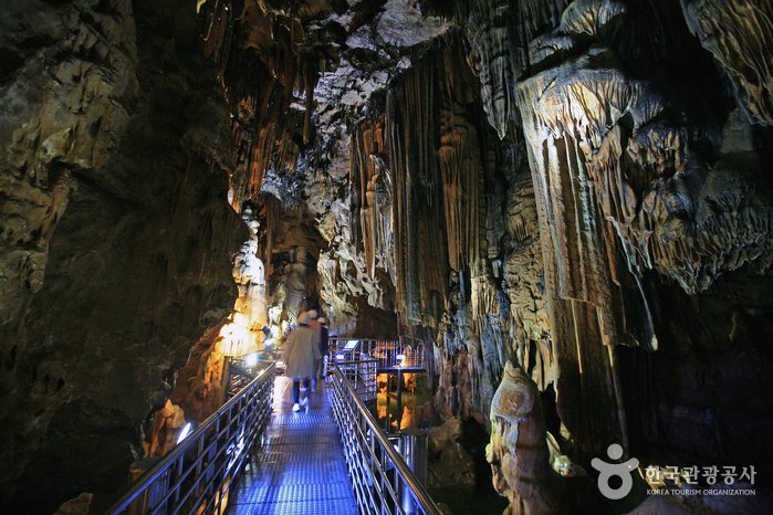 [Gyeongsangbuk-do] Seongnyugul Cave [National Geopark] (성류굴 (경북 동해안 국가지질공원))