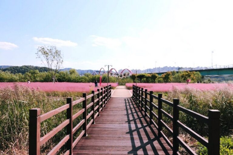 [Gyeongsangbuk-do] Grasswon Park (그라스원)