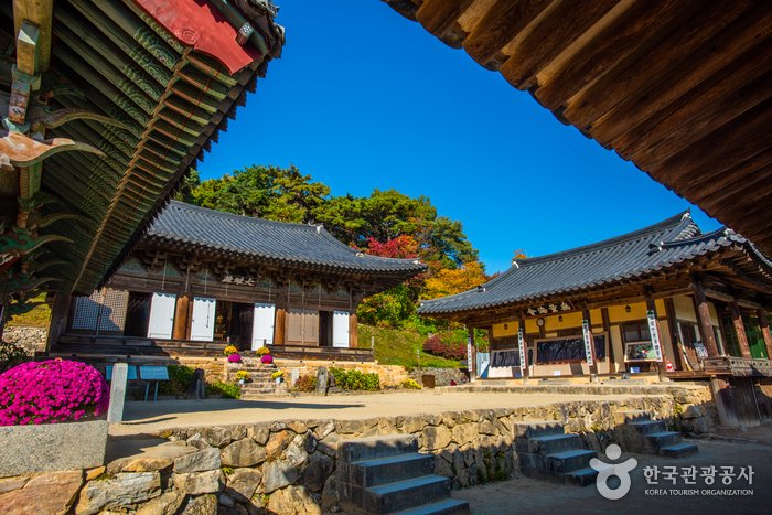 [Gyeongsangbuk-do] Bongjeongsa Temple [UNESCO World Heritage] (봉정사 [유네스코 세계문화유산])