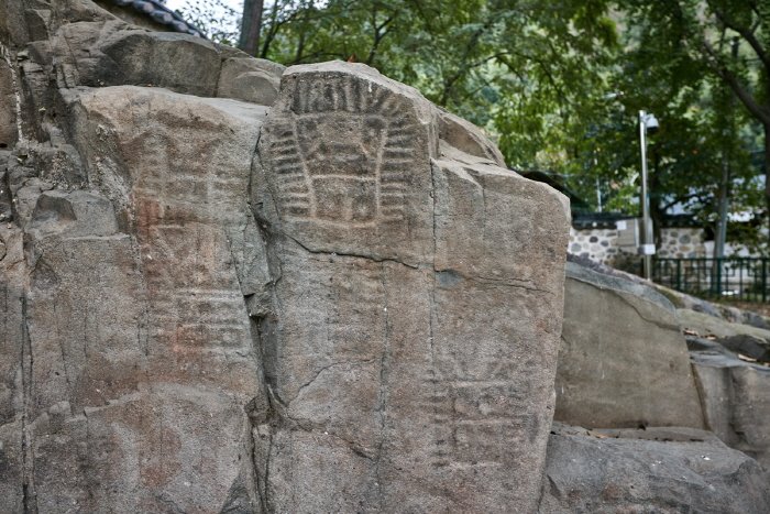 [Gyeongsangbuk-do] Goryeong Janggi-ri Rock Art (고령 장기리 암각화)