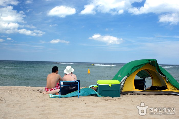 [Gyeongsangbuk-do] Daejin Beach (대진해수욕장)