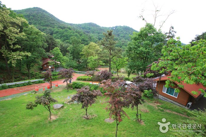 [Gyeongsangbuk-do] Songjeong Recreational Forest (송정 자연휴양림)