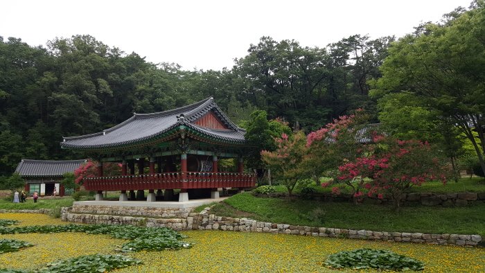 [Gyeongsangbuk-do] Uljin Bulyeongsa Temple (불영사(울진))