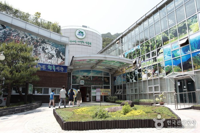 [Gyeongsangbuk-do] Gayasan Wildflower Botanical Garden (가야산 야생화식물원)