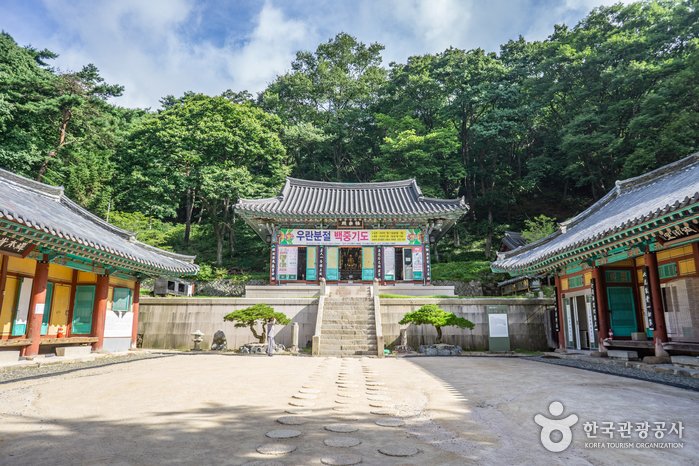 [Gyeongsangbuk-do] Gyeongsan Seonbonsa Temple (선본사(경산))