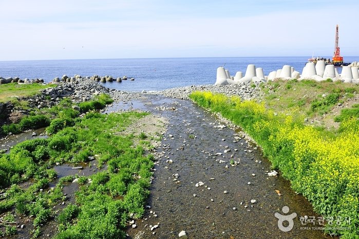 [Gyeongsangbuk-do] Tonggumi Pebble Beach (통구미몽돌해변)