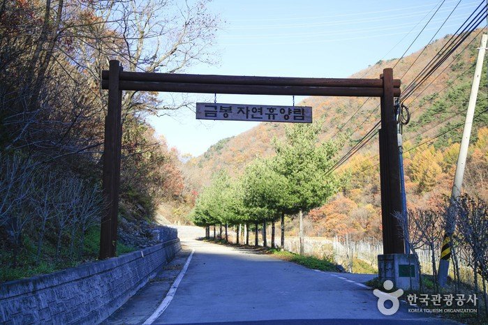 [Gyeongsangbuk-do] Geumbong Recreational Forest (금봉자연휴양림)