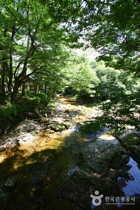 [Gyeongsangbuk-do] Songnisan National Park (Gyeongbuk Section) (속리산국립공원(경북))