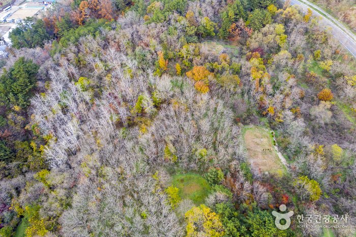 [Gyeongsangbuk-do] Samsa Marine Park (삼사해상공원 (삼사해상산책로))