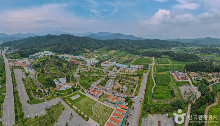 [Gyeongsangbuk-do] Jamsa Insect Plant (잠사곤충사업장)