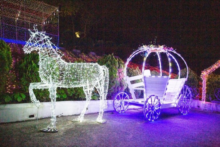 [Gyeongsangbuk-do] Cheongdo Provence Lighting Festival (청도 프로방스 빛축제)