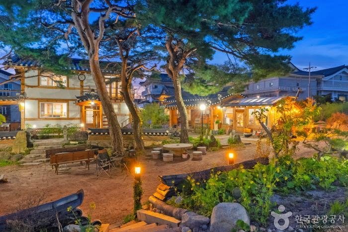 [Gyeongsangbuk-do] Bulguksa Hanok Farm Stay (불국사한옥팜스테이)