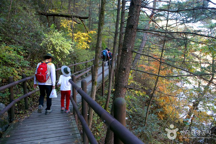 [Gyeongsangnam-do] Gayasan Sori-gil (가야산 소리길)